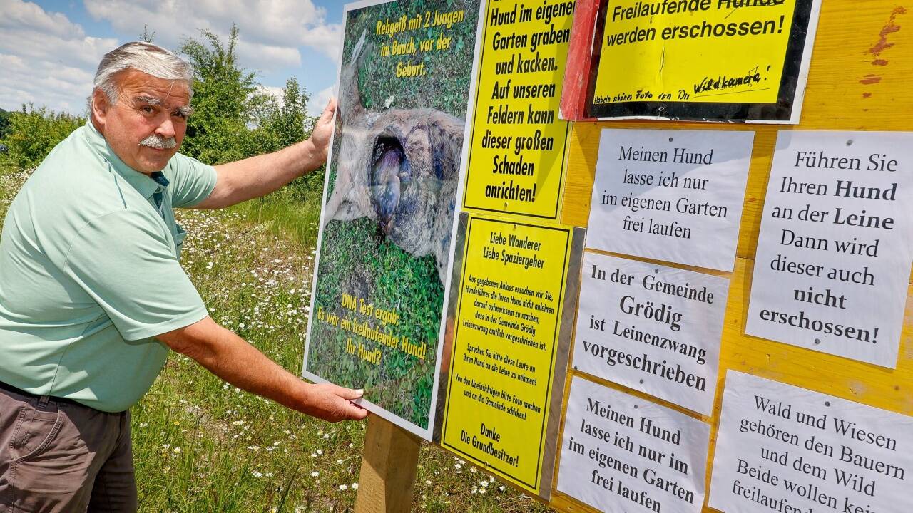 Kot und Schäden auf den Wiesen: Der Grödiger Landwirt Hans Fuchs hat genug von Hundebesitzern, die ihre Tiere nicht an die Leine nehmen. 