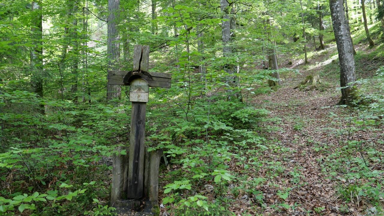 Das Holzkreuz hebt sich im Wald kaum von den umgebenden Baumstämmen ab.  