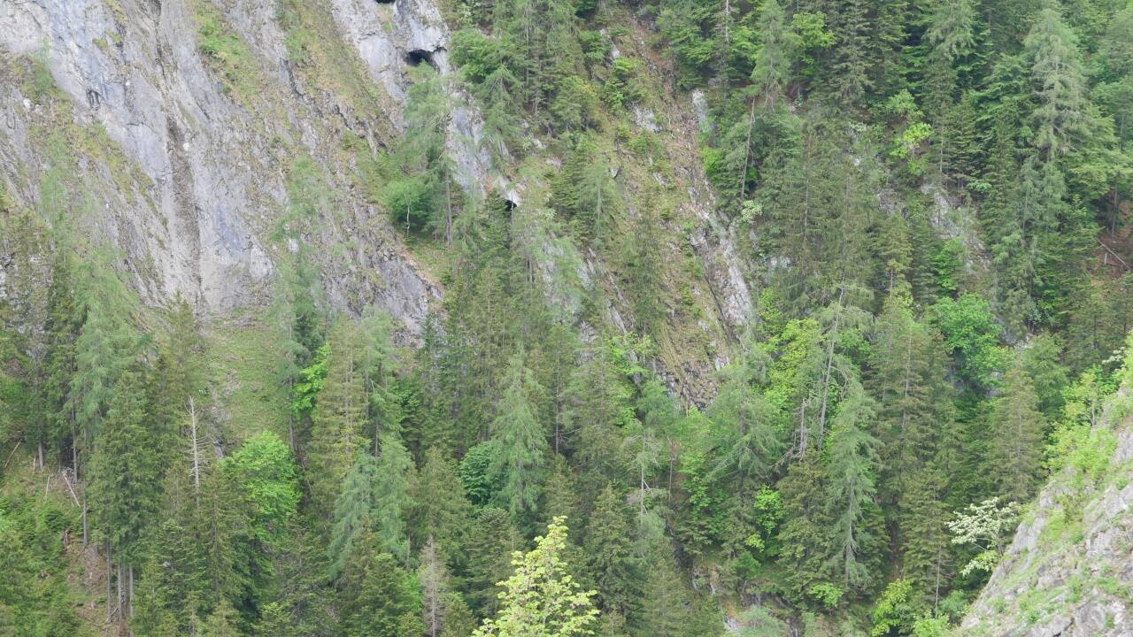 Die Felslöcher hoch über der Liechtensteinklamm im Großarltal.  