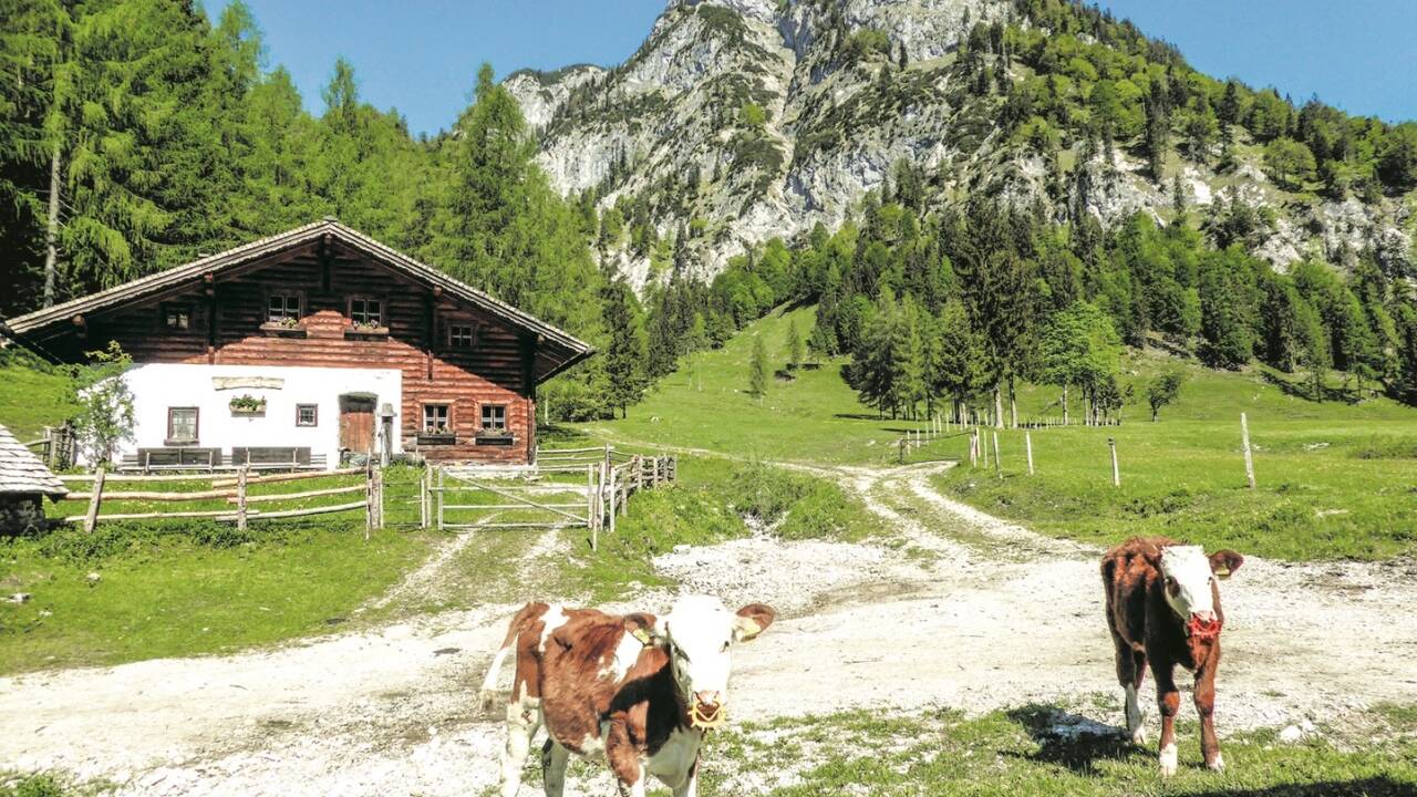 Die Gschirrwand hinter der Wallingalm ist ein Ausläufer des Schwarzerberges.  