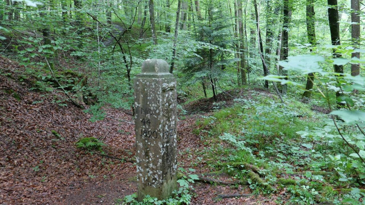 Ansichten des historischen Grenzsteins in Nonnreit. Ansichten des historischen Grenzsteins in Nonnreit.