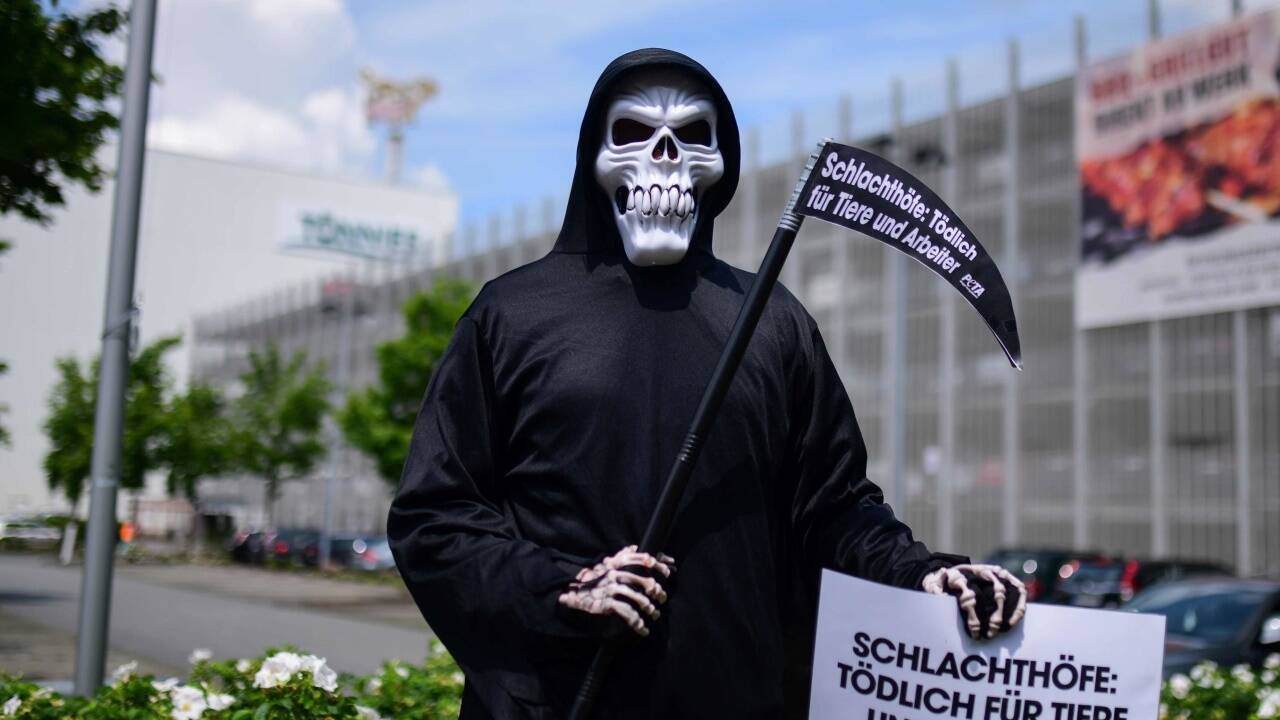 Proteste vor Tönnies. Proteste vor Tönnies.