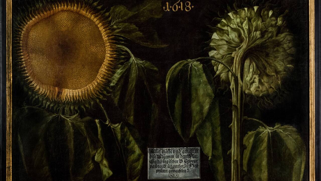 400 Jahre alt sind diese gemalten Sonnenblumen im Schloss Hellbrunn. 400 Jahre alt sind diese gemalten Sonnenblumen im Schloss Hellbrunn.