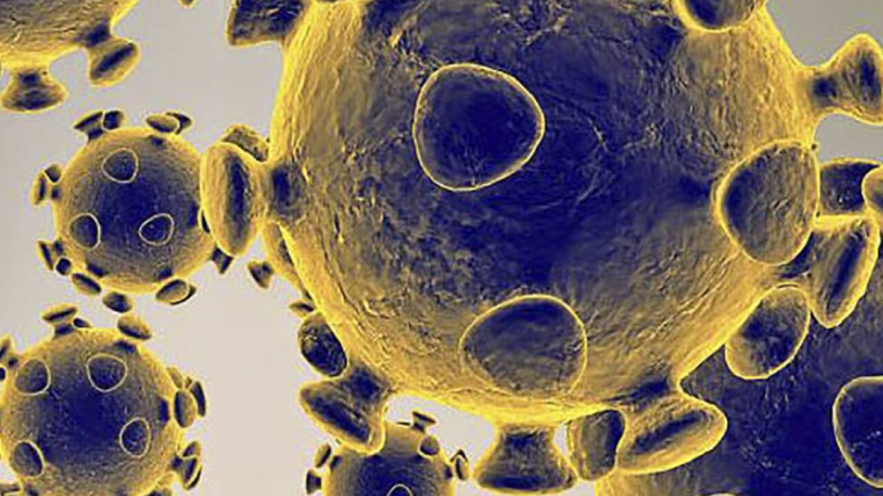 Das Virus ist viel präsenter als viele wahrhaben wollen 