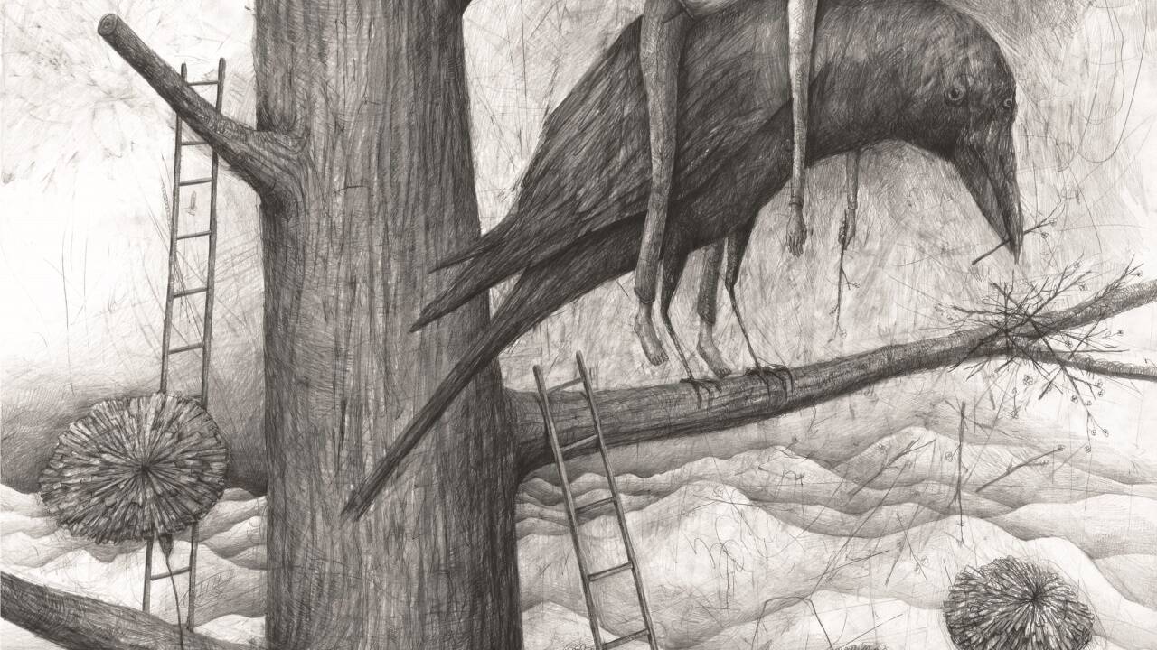 „Rabe“ von Stefan Zsaitsits, Graphit auf Karton. 