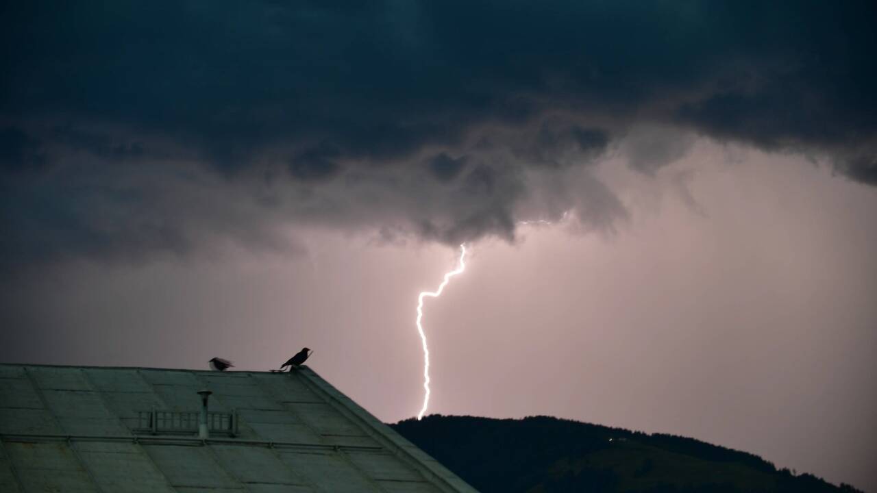 Gewitter, Starkregen und Windböen suchten in der Nacht auf Mittwoch Österreich heim. 
