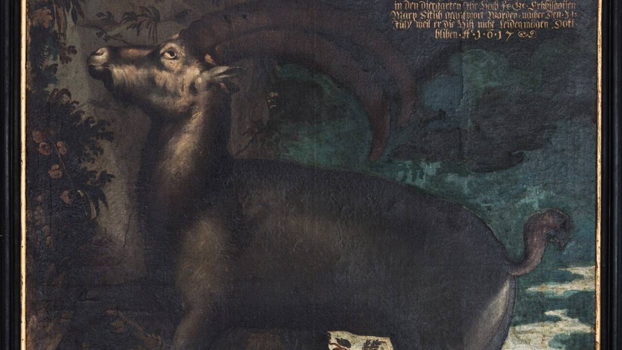 War er anno 1617 der erste Steinbock im Tiergarten Hellbrunn?  