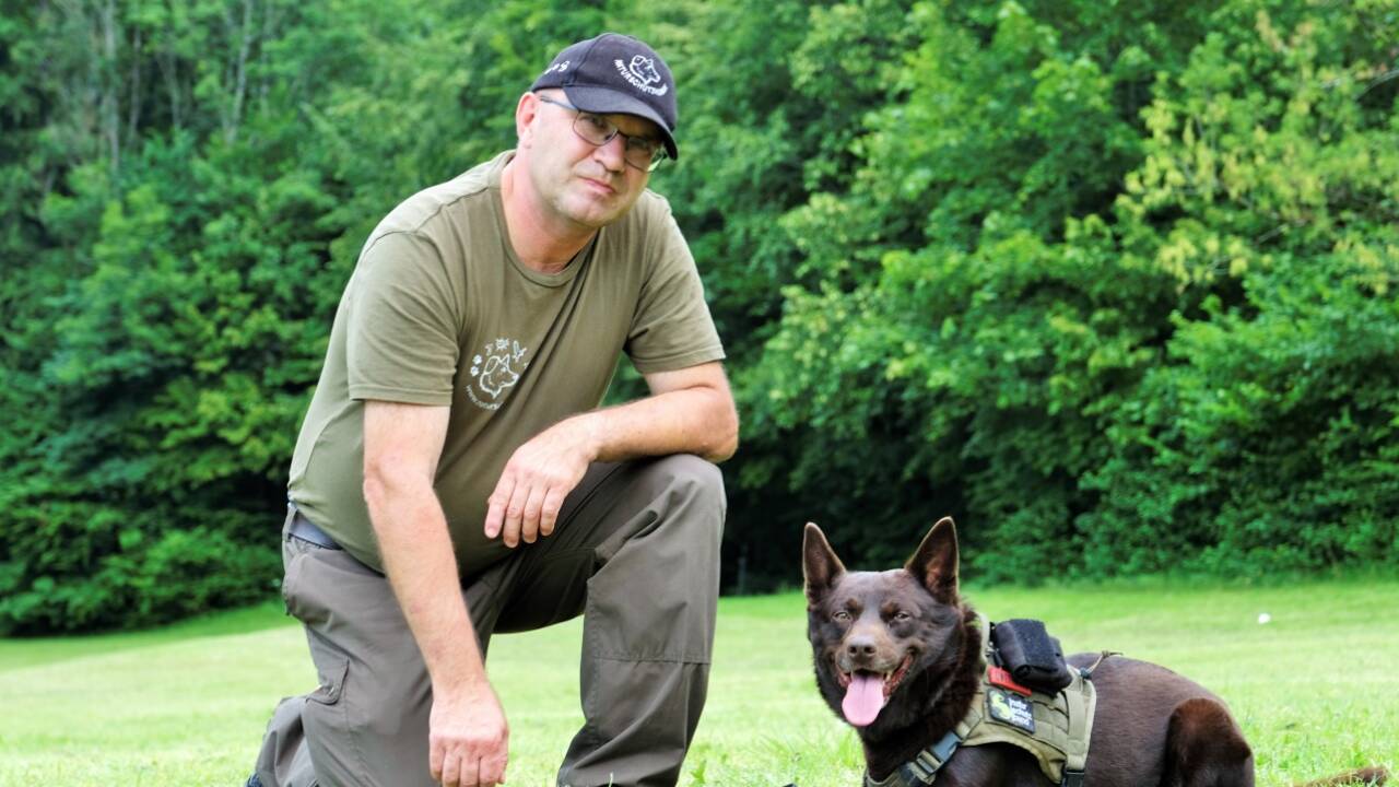 Leopold Slotta-Bachmayr trainiert mit dem vierjährigen Sarek häufig auf der Hundewiese in Aigen. 