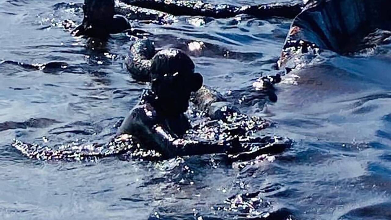 In einem Wettlauf gegen die Zeit versuchen Behörden und Helfer auf Mauritius nach dem Schiffsunglück vor zwei Wochen die Ölkatastrophe abzumildern.  