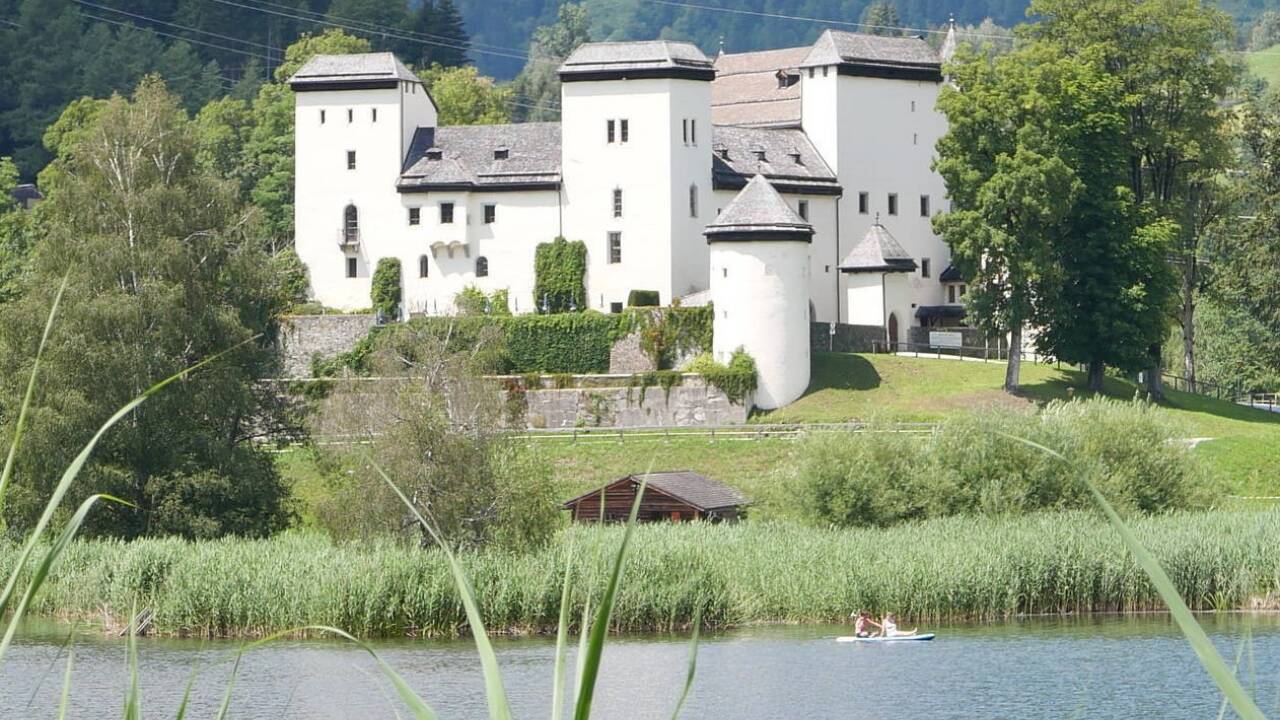 Schloss Goldegg. 