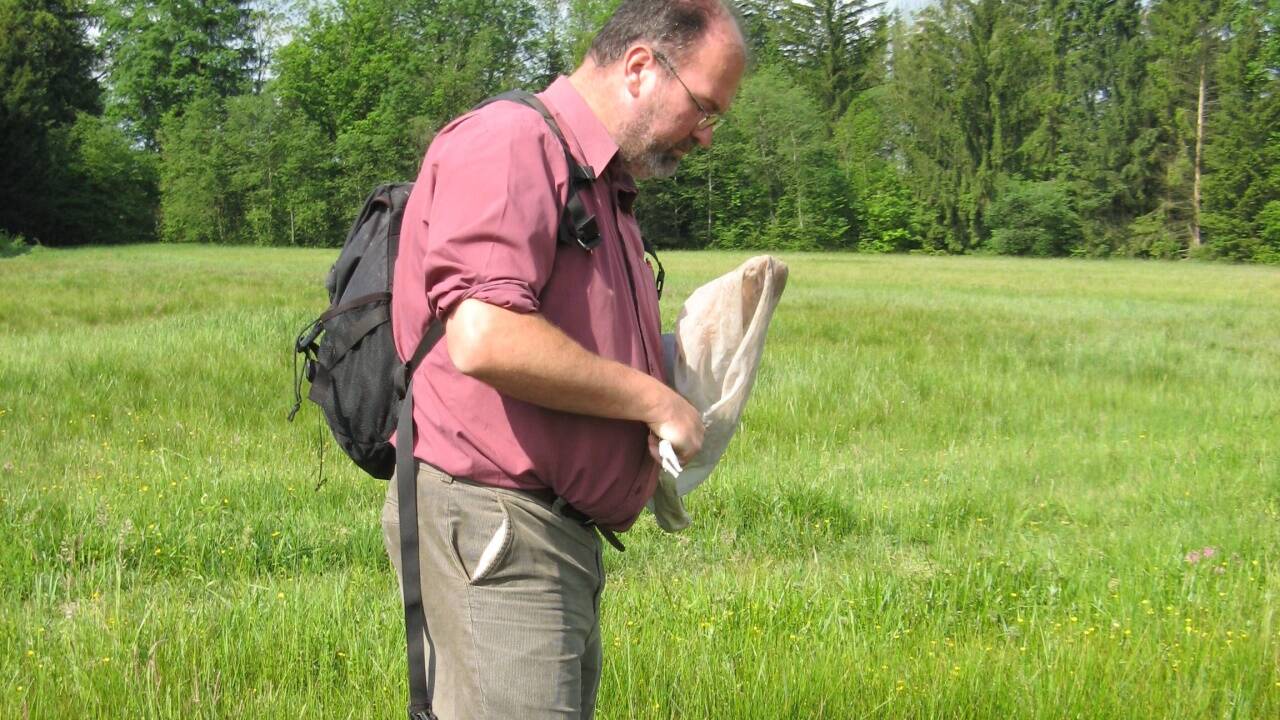 Hummelforscher Johann Neumayer bei der Arbeit mit dem Insektennetz.  
