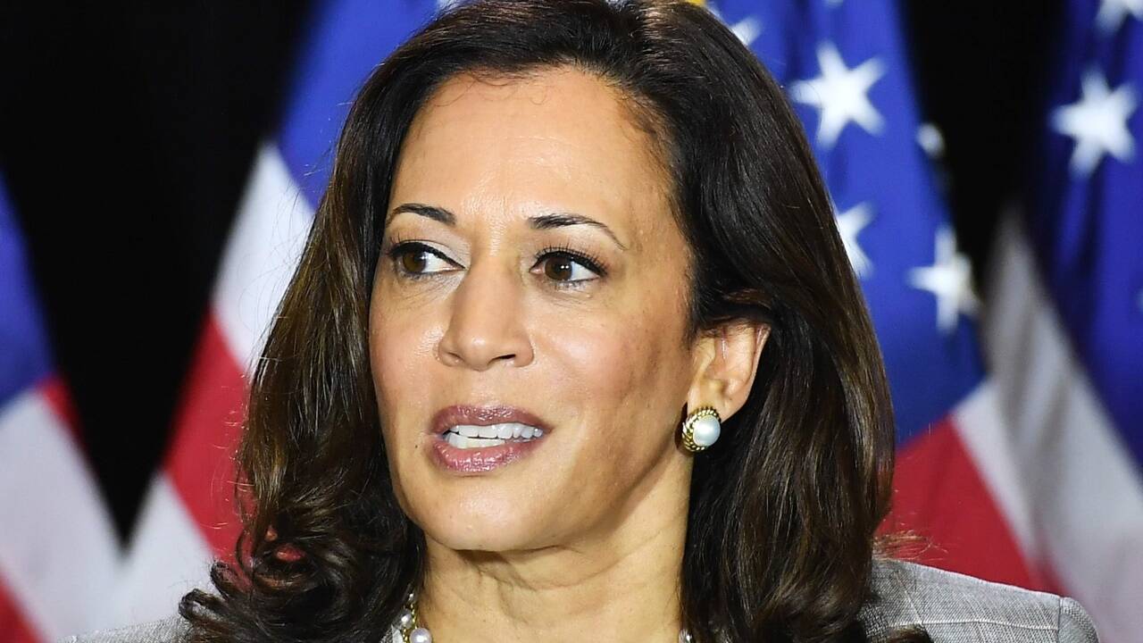 Kamala Harris, Kandidatin für das Amt der Vizepräsidentin, ist Amerikanerin mit jamaikanisch-indischer Abstammung. 