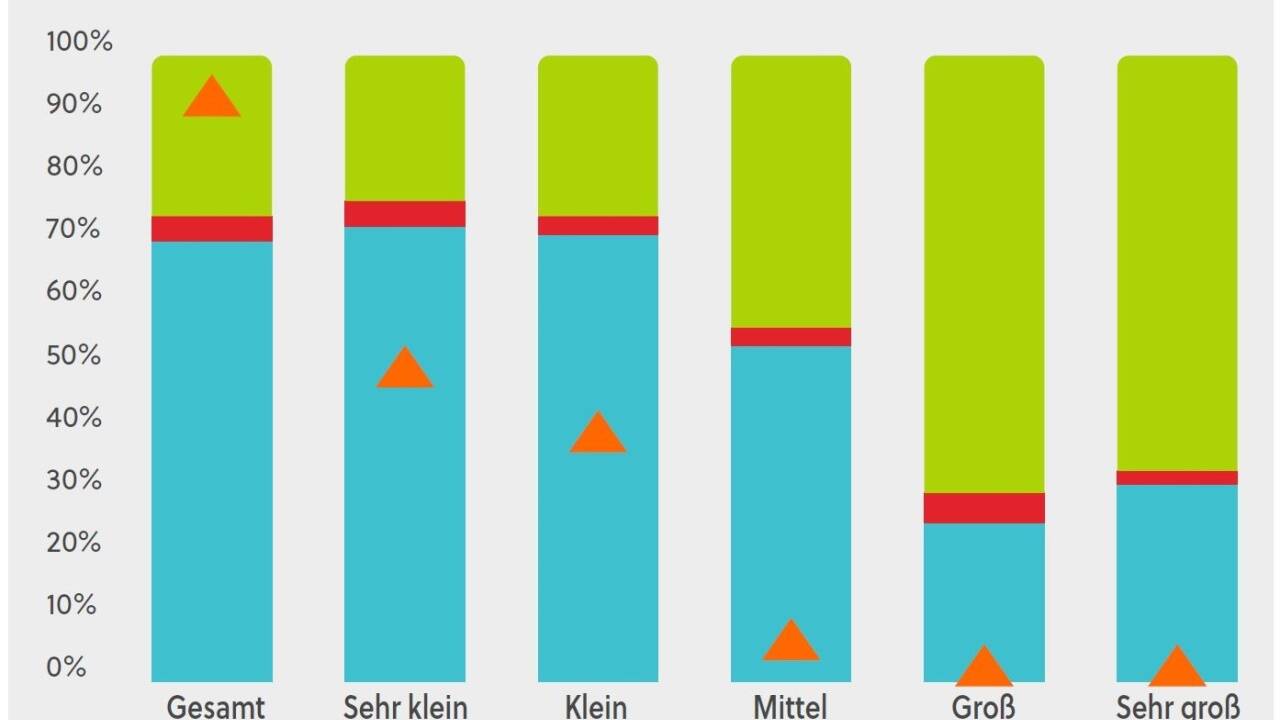 Auffällig ist, dass große Unternehmen stark mit Schwachstellen zu kämpfen haben.  Auffällig ist, dass große Unternehmen stark mit Schwachstellen zu kämpfen haben.