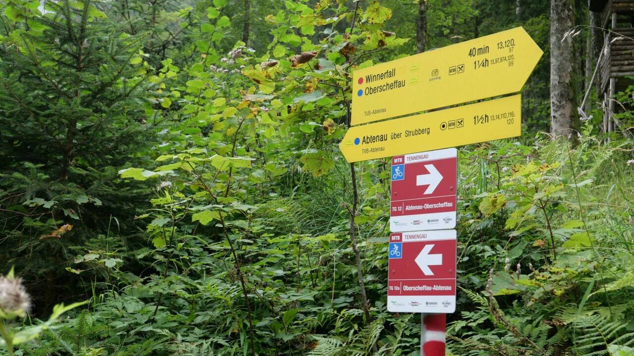 Auf dem Weg von Oberscheffau nach Abtenau findet sich die markante Grenzsäule.  