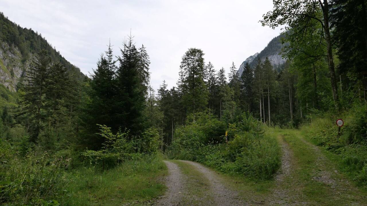 Eine Impression des Wegs.  