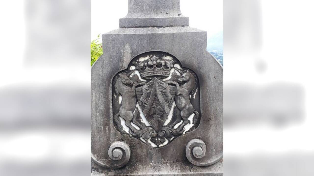 Das Wappen führt zu einem Grafen Almásy.  