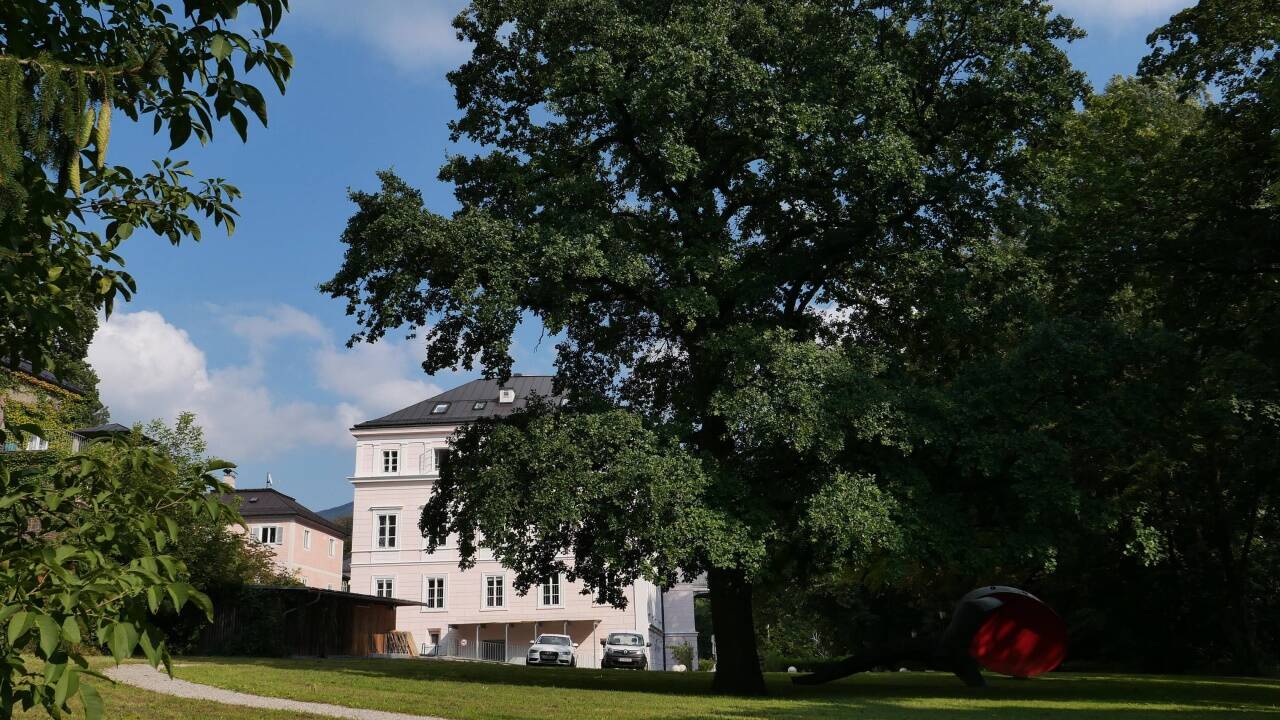 Blick auf die mächtige Eiche im Skulpturenpark.  