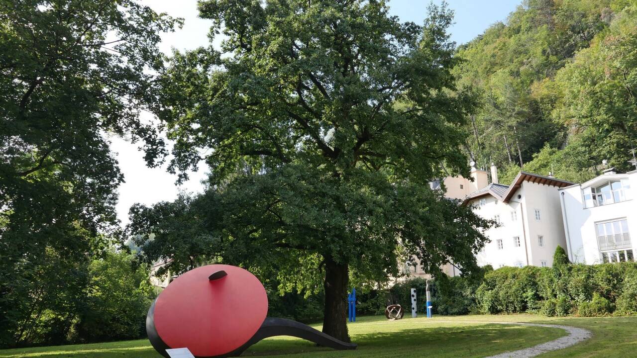 Auf diesem Areal im Park von Schloss Arenberg soll der Neubau entstehen.  