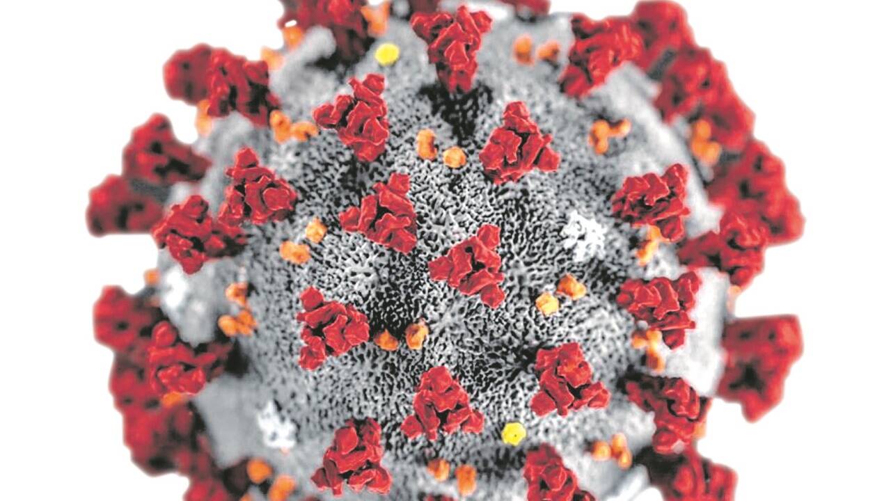Das Virus fordert auch jüngere Opfer. 