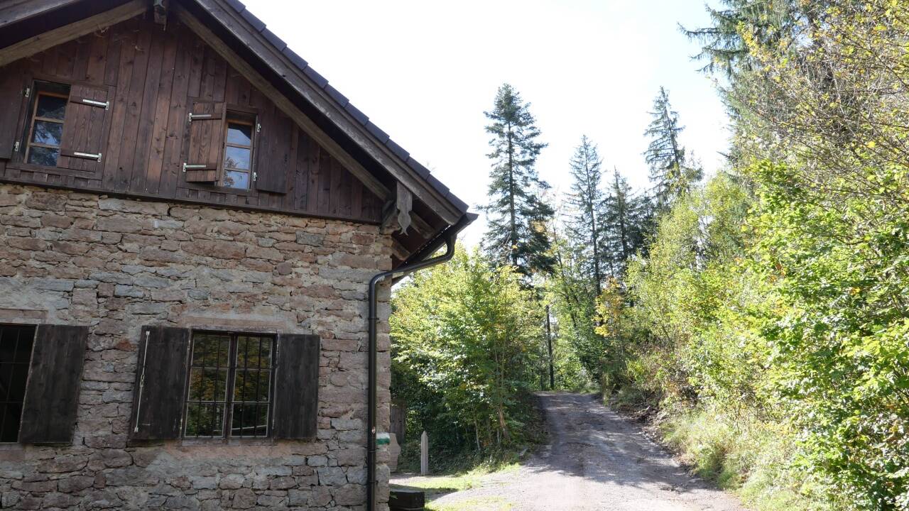 Die Alte Schmiede am Weg zum Lienbach-Bruch. 