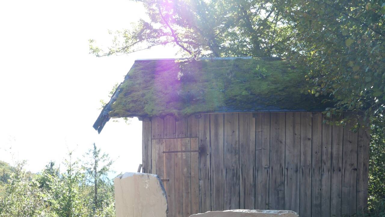 Je nach Lichtverhältnissen wirkt diese (private) Kunstinstallation anders.  