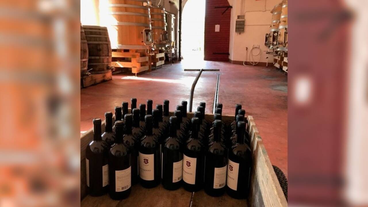 Palazzo Lodron nennt sich auch die Weinmarke der Volpini de Maestri.  