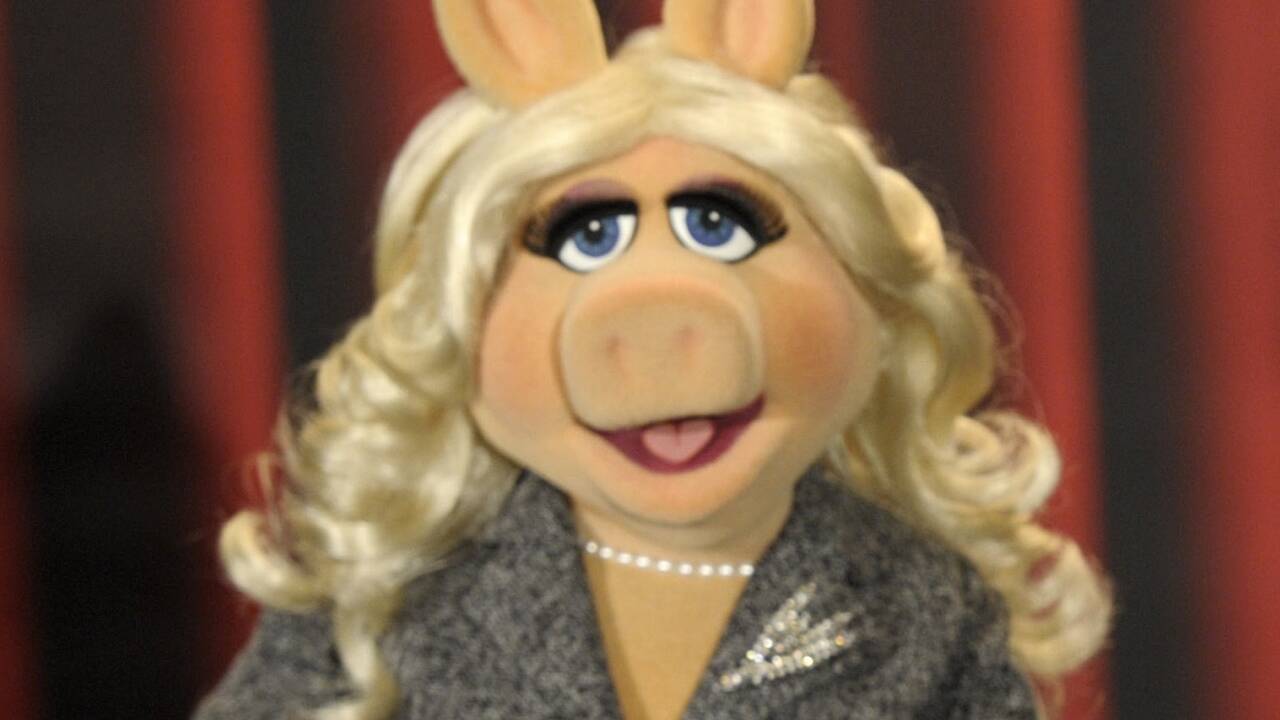 Miss Piggy bloggt nun (Archivbild). 