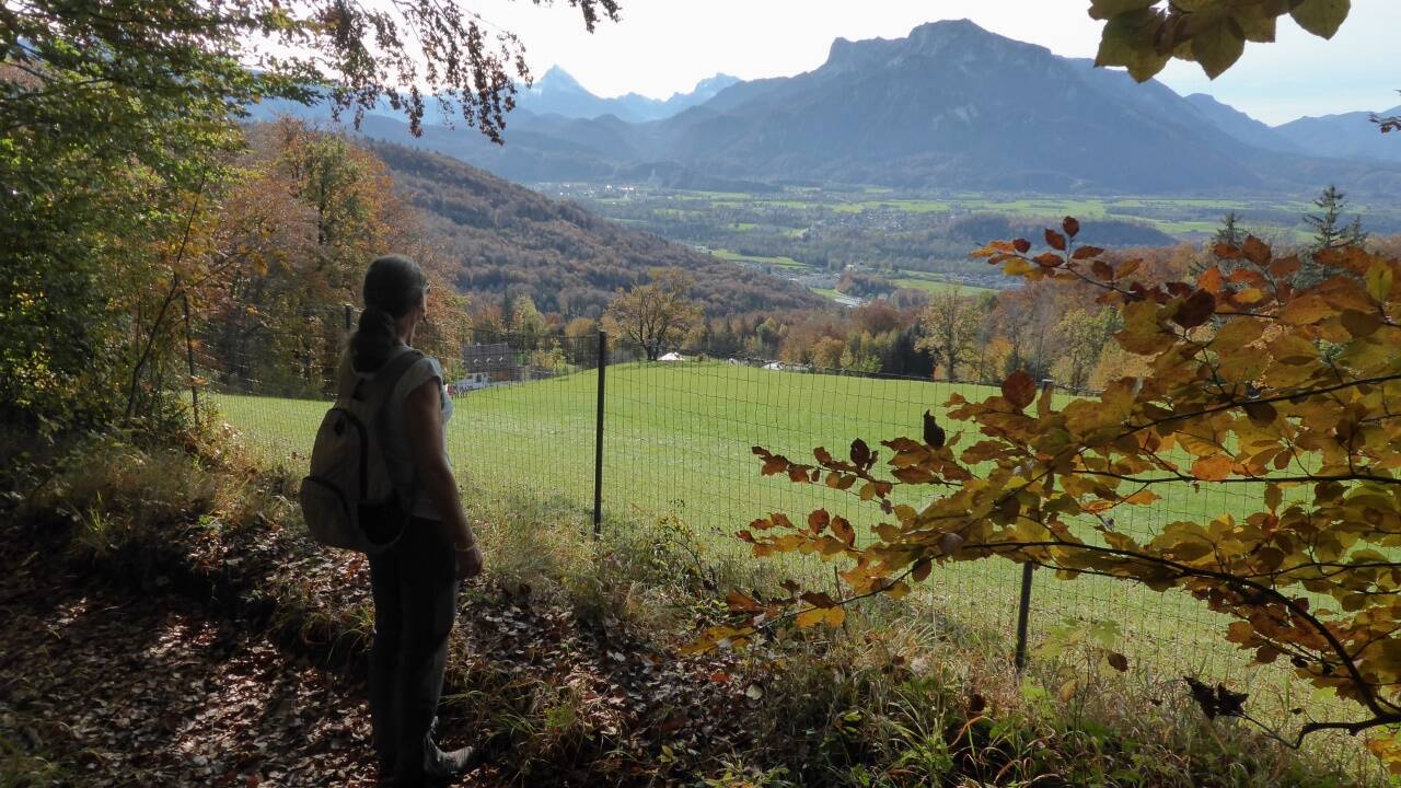 Der Blick über Gizoll Richtung Untersberg. 