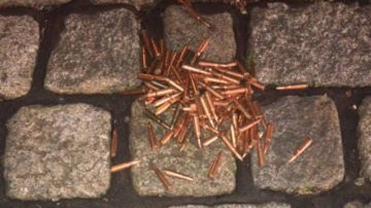 Waffe des Attentäters von Wien 