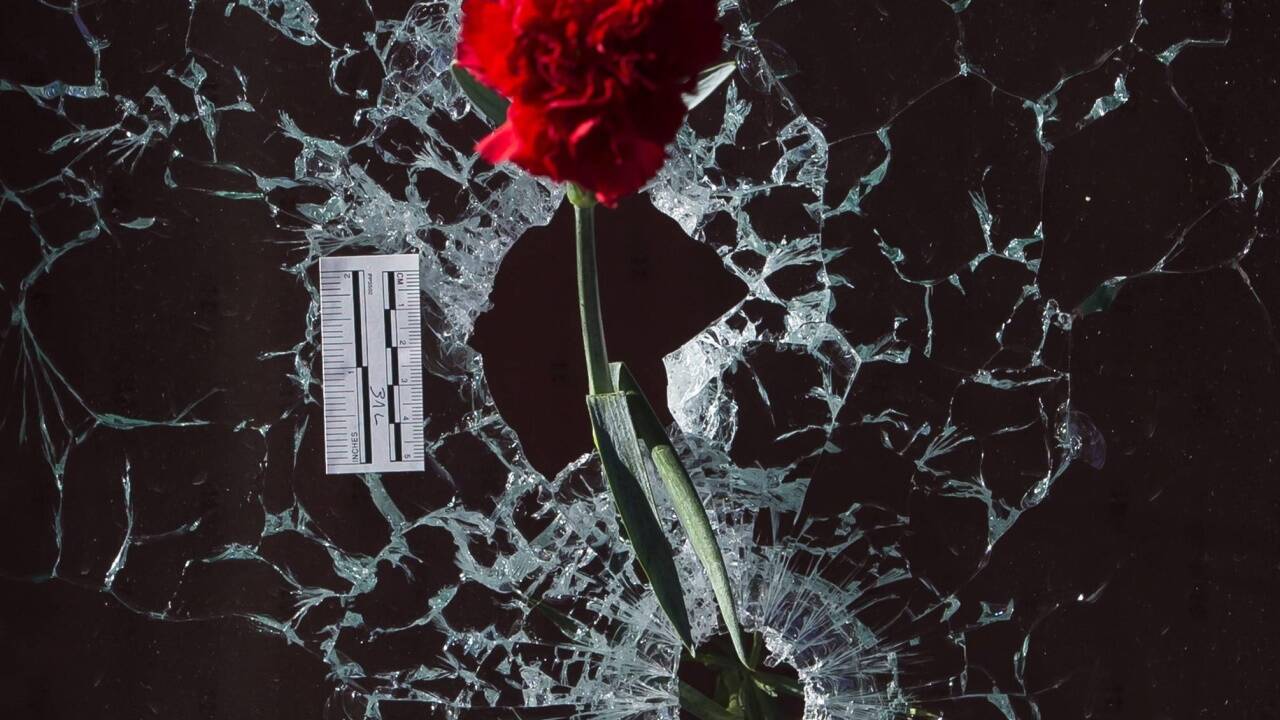 Nach dem Anschlag vom 13. November 2015 in Paris steckten Menschen Rosen in die Einschusslöcher. 