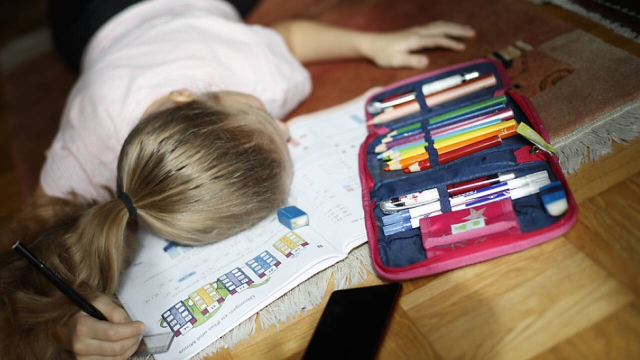 Distance Learning: Nicht alle sind begeistert  Distance Learning: Nicht alle sind begeistert