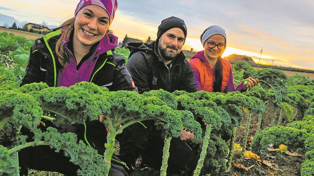 Jungbäuerin Johanna Bruckmoser (l.), Partner Florian Pichler und Schwägerin Simona Pichler sind jetzt auch beruflich zusammengewachsen. 