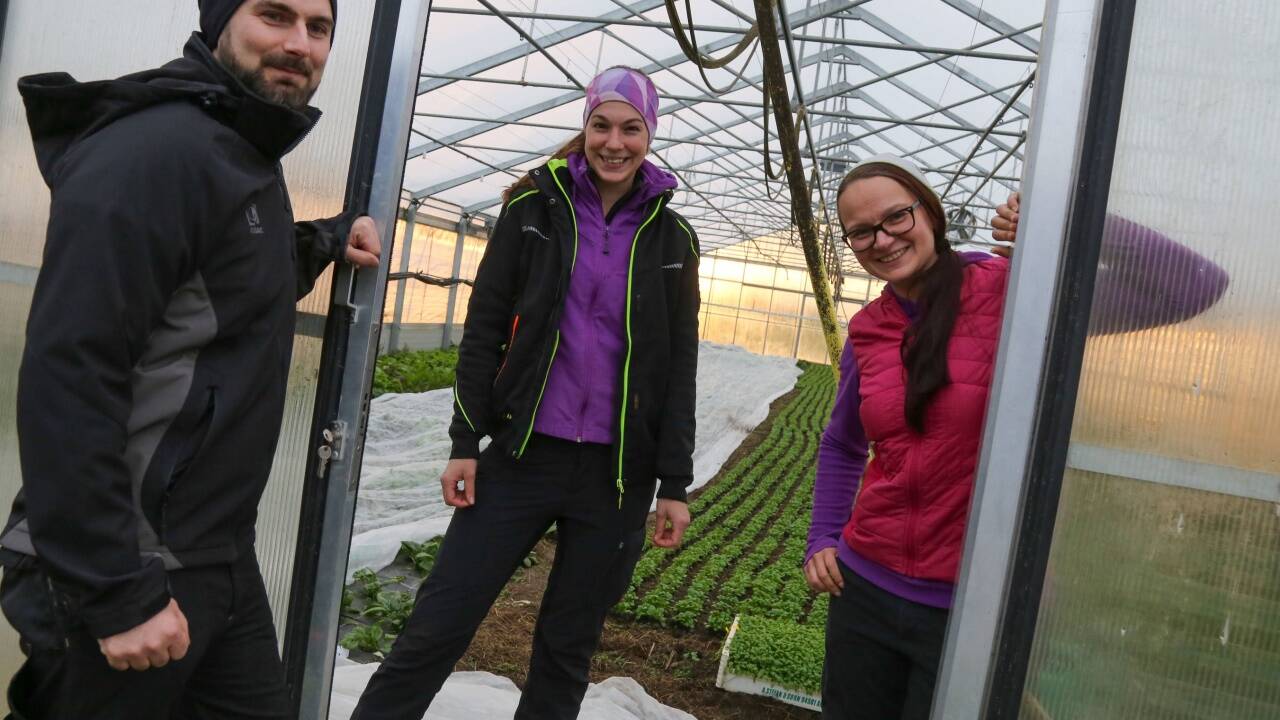 Florian Pichler und seine Schwester Simona Pichler (r.) sind jetzt Biobauern und arbeiten am „Schmuckbauer“-Hof von Johanna Bruckmoser. 