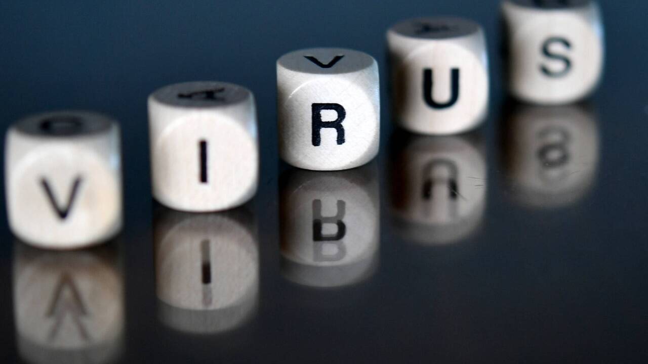 Forscher berechneten, dass im Schnitt 1000 Viren bei einer Infektion übertragen werden. Forscher berechneten, dass im Schnitt 1000 Viren bei einer Infektion übertragen werden.