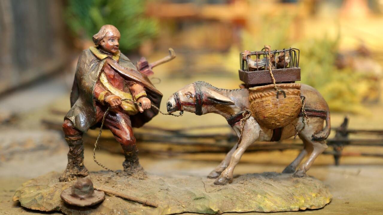 Störrischer Esel mit Hühnersteige.  