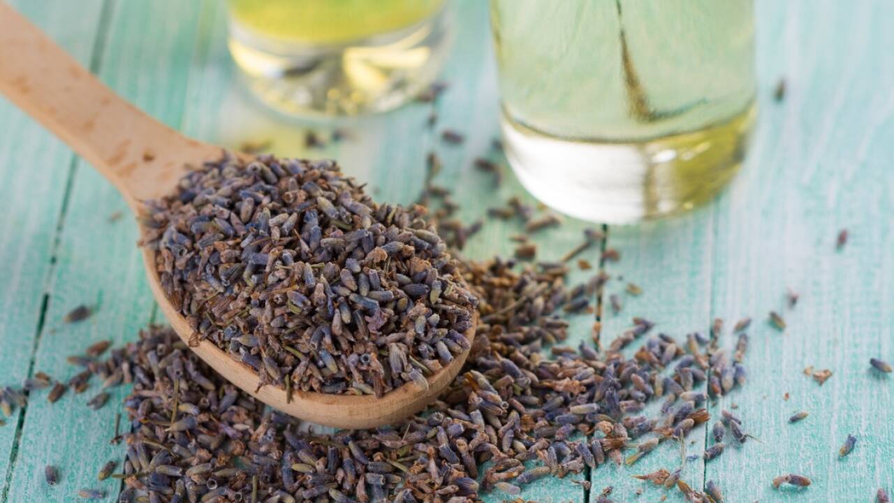 Lavendel beruhigt.  