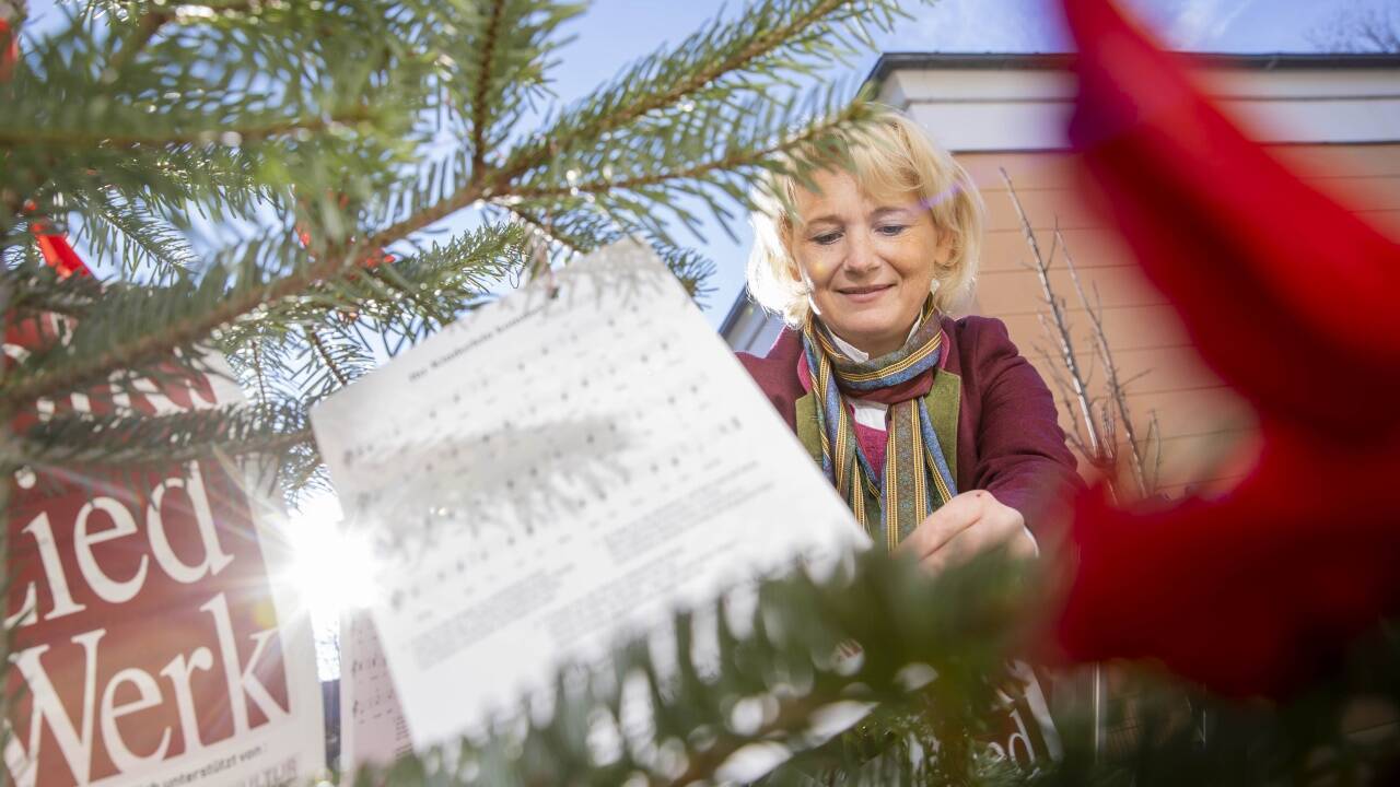 Elisabeth Radauer vom Salzburger Volksliedwerk schmückt den ersten von sechs Christbäumen.  