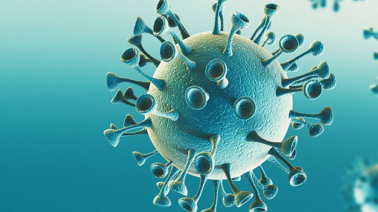 Wie lange ist man nach einer Coronainfektion immun? 