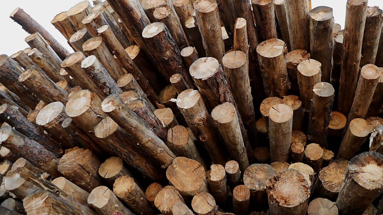 HS Timber baut Sägewerk in Weißrussland 
