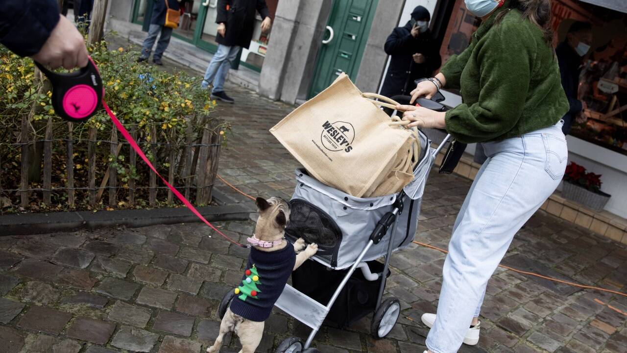 Nein, das bekommt der Hund sicher nicht. In der Einkaufstasche befindet sich eine der letzten Sendungen, die es über den Ärmelkanal auf den Kontinent geschafft haben.  