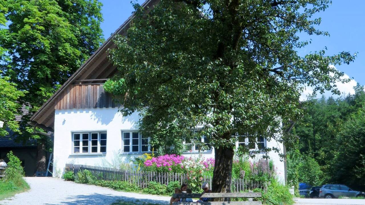 Tausche geschäftige Großstadt gegen idyllisches Landleben. Immer mehr Wiener kokettieren damit, aus der Stadt wegzuziehen. 