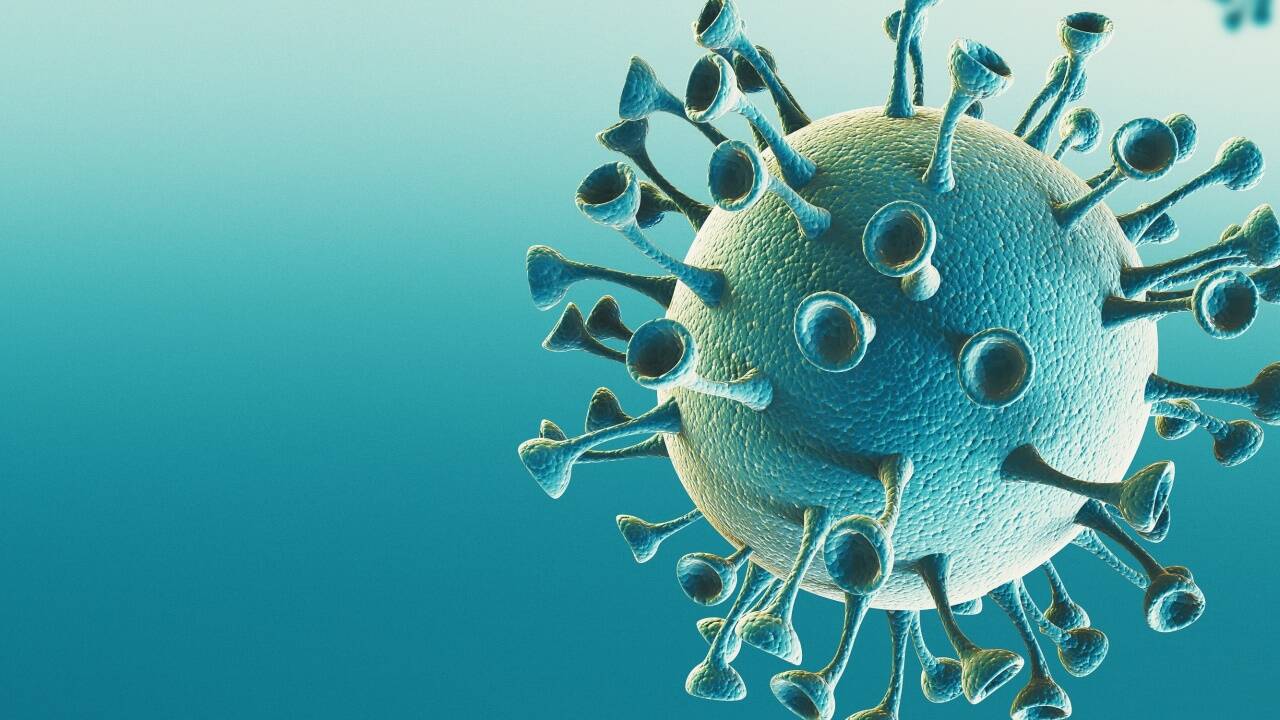 Neue Mutationen des Coronavirus bereiten Sorge.  
