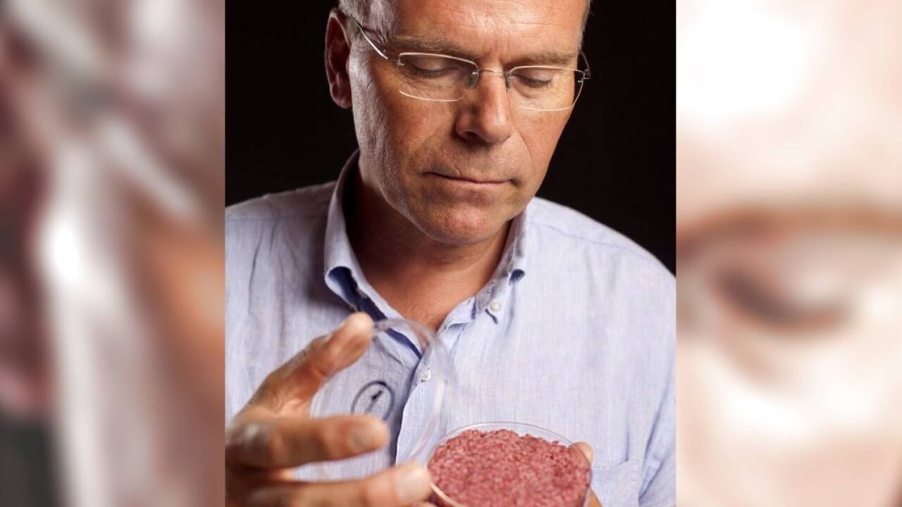 Laborfleisch könnte ein „goldener Mittelweg“ sein zwischen Massentierhaltung und komplettem Verzicht auf tierisches Protein. Noch ist das Labor-Fleisch leider auch fast so teuer wie das seltene Edelmetall. Laborfleisch könnte ein „goldener Mittelweg“ sein zwischen Massentierhaltung und komplettem Verzicht auf tierisches Protein. Noch ist das Labor-Fleisch leider auch fast so teuer wie das seltene Edelmetall.