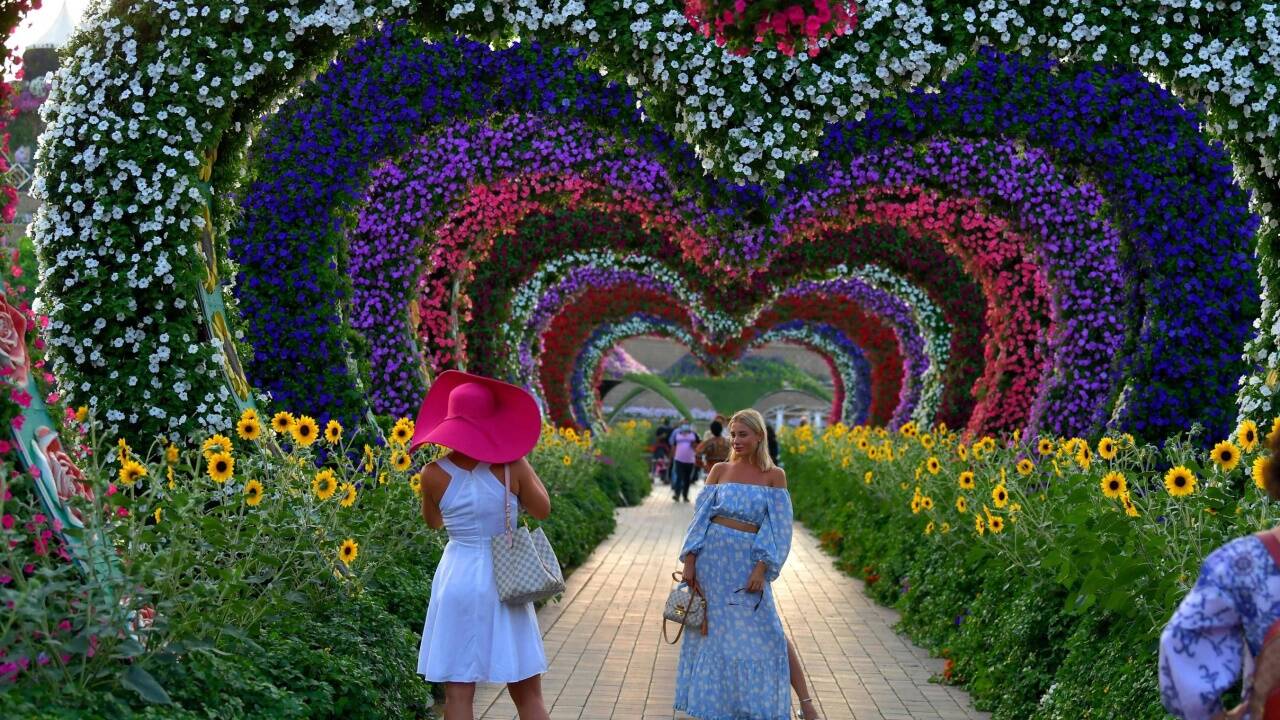 Bei Influencern besonders beliebt: der Miracle Garden in Dubai. 
