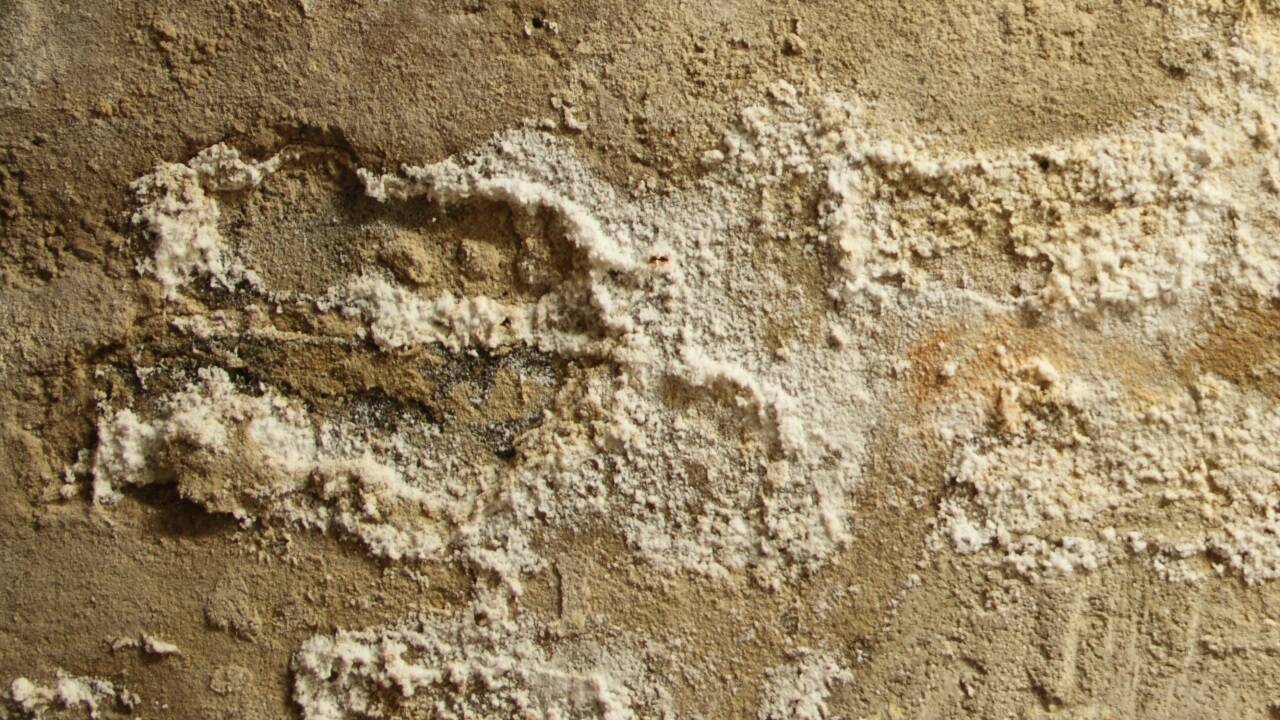 Ein ernstes Problem für Mauerwerk und die Statik des Gebäudes: Mauersalze. 
