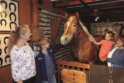 Eine interaktive Ausstellung über Pferd und Mensch im Nationalpark Hohe Tauern. 
