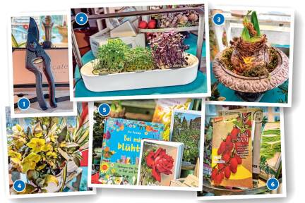 Karl Plobergers Ideen für Gärtnerinnen und Gärtner.  