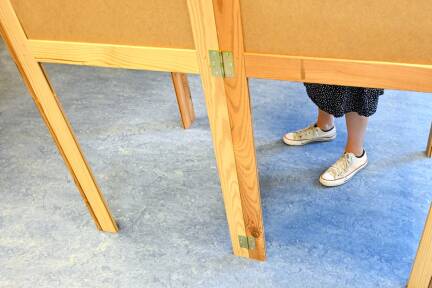 Das Wahlrecht auf Bundes- und Landesebene ist österreichischen Staatsbürgern vorbehalten.  