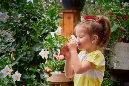 Genießen ist angesagt.  