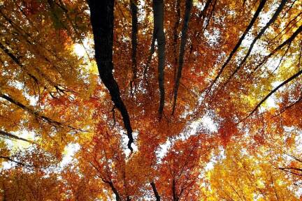 Freuen wir uns des Sommers, der politische Herbst wird möglicherweise lange dauern. 